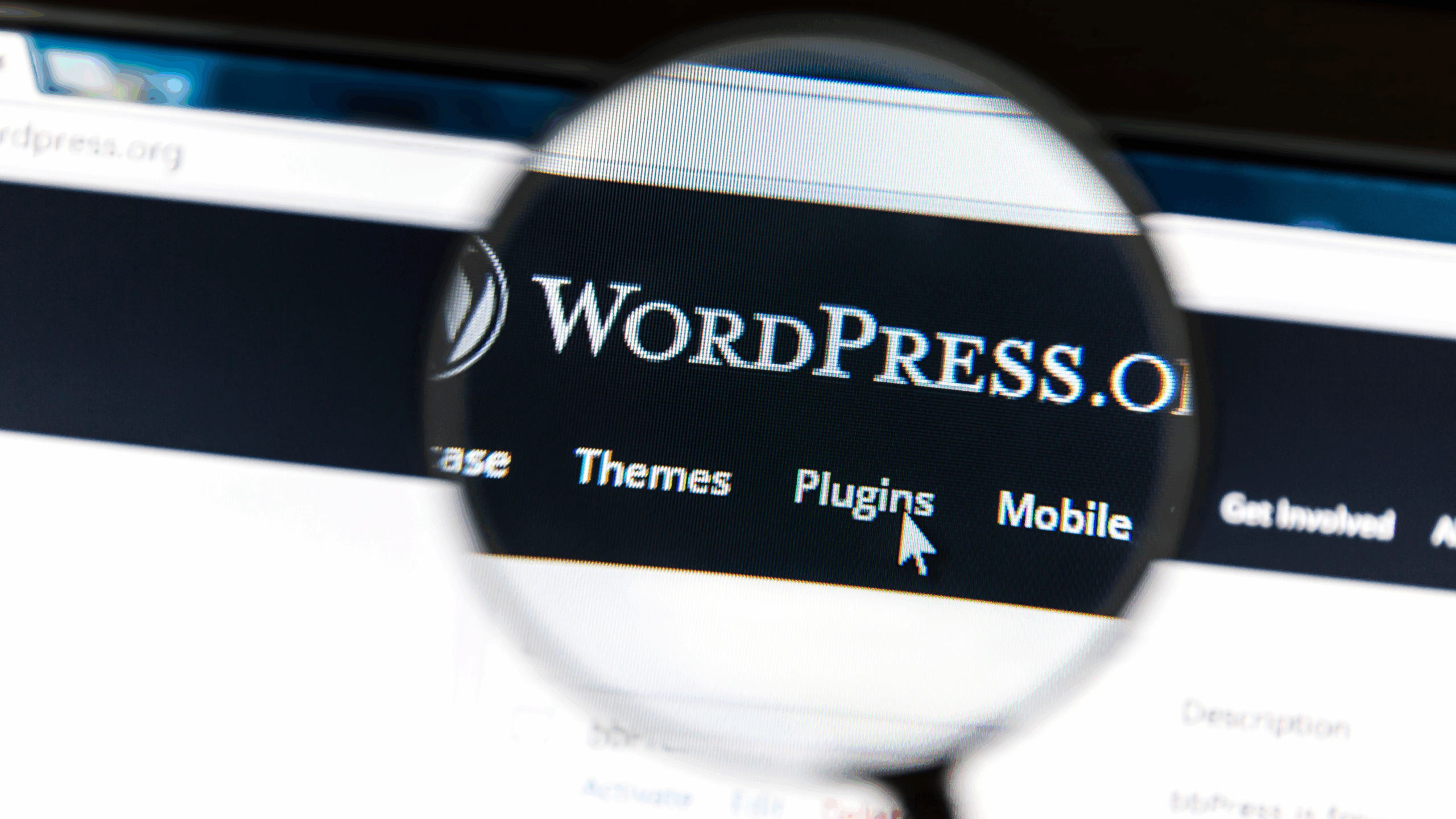 6 Pro Tips To Improve Your WordPress Site