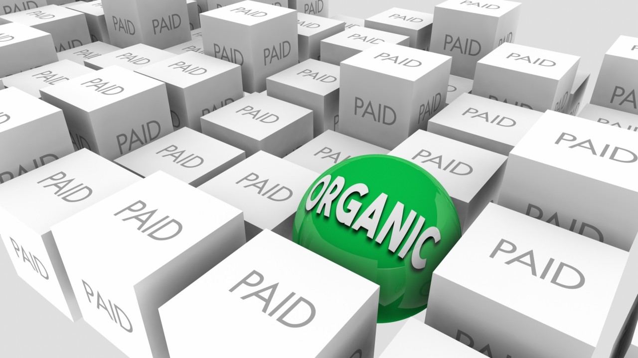 Organic Reach Isn’t Dead: How to Build Authority and Engagement on Social Media in 2026